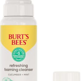 Burt's Bees Refreshing Foaming Face Cleanser and Face Wash with Cucumber and Mint, 4.8 Fluid